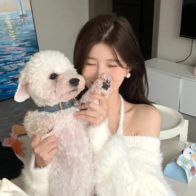 看见台湾